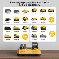 Dewalt Power Pro Battery & Charger